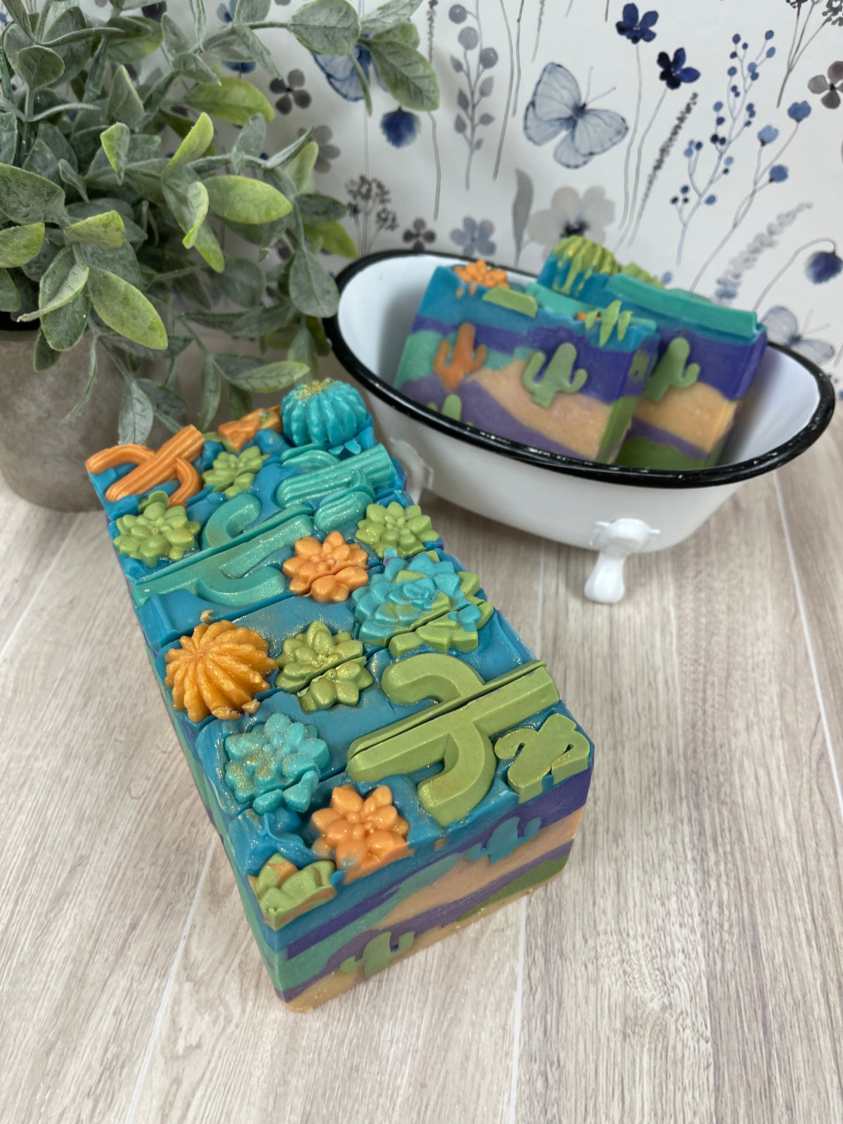 Cashmere & Cactus