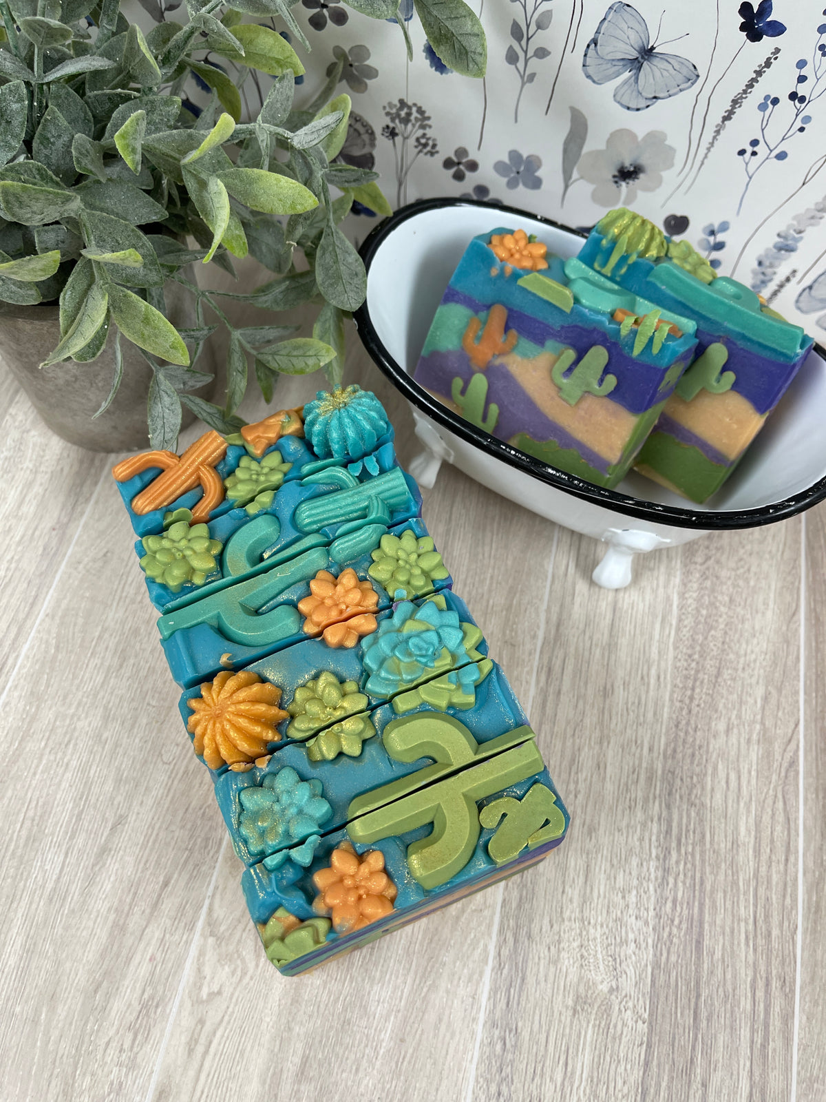 Cashmere & Cactus